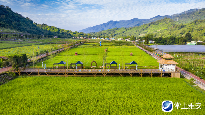 飞仙关镇川西药谷·禾茂田园4.jpg