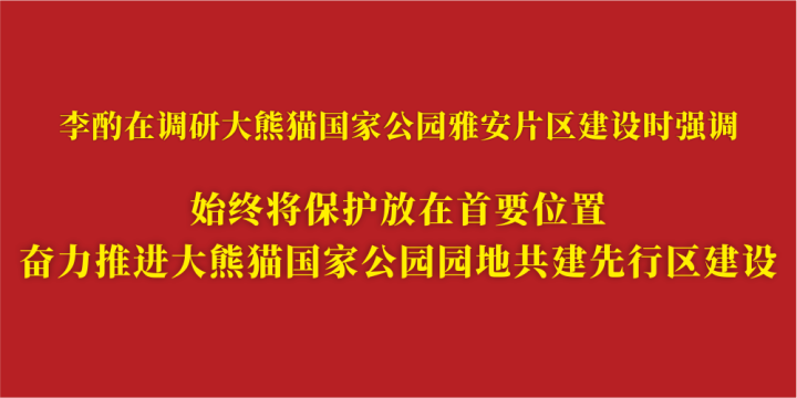 始终将保护放在首要位置.png