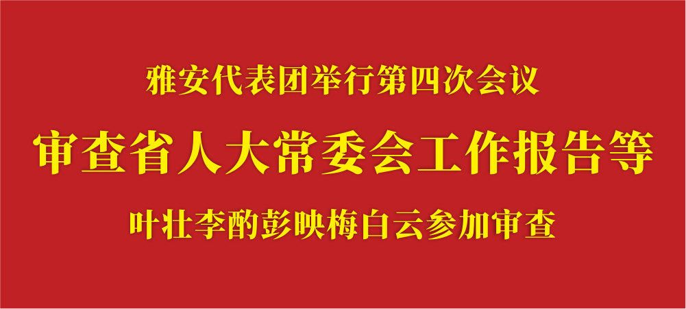 审查省人大常委会工作报告等.png