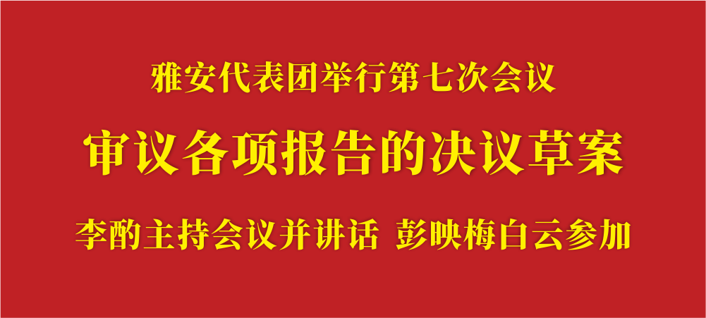 审议各项报告的决议草案.png