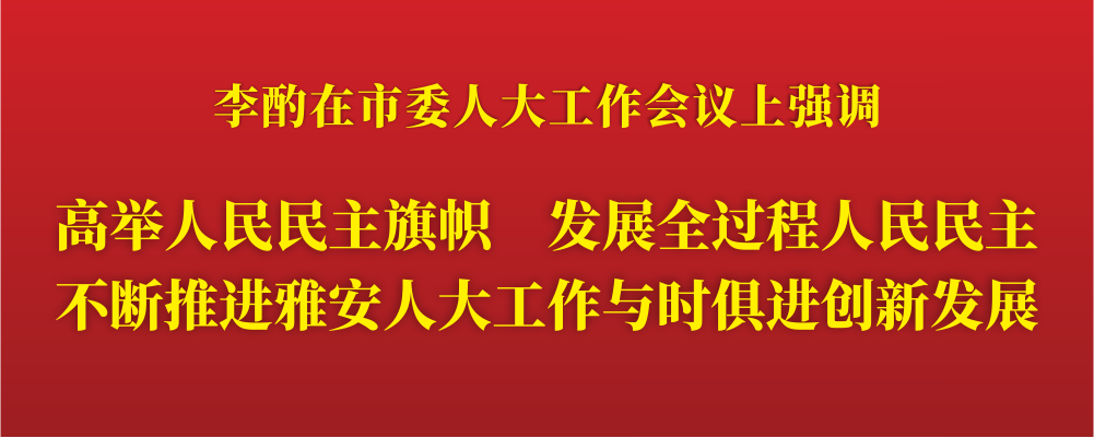 高举人民民主旗帜  发展全过程人民民主.png