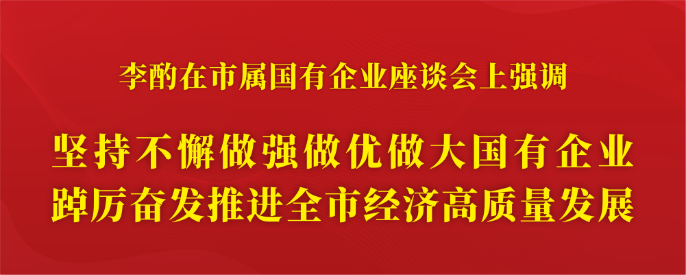 坚持不懈做强做优做大国有企业.png