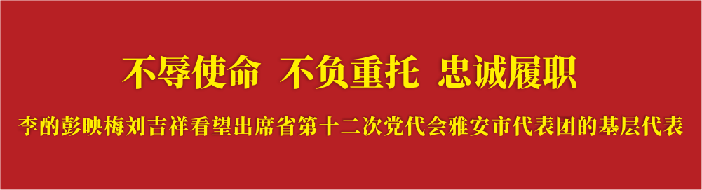 李酌彭映梅刘吉祥看望出席省第十二次党代会雅安市代表团的基层代表.png