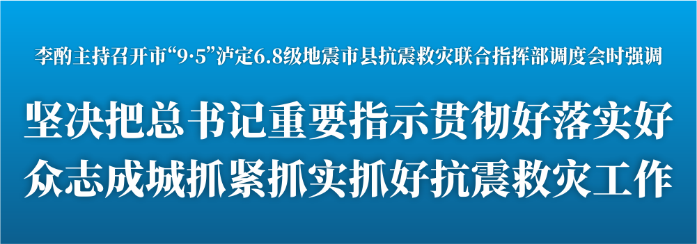 坚决把总书记重要指示贯彻好落实好.png