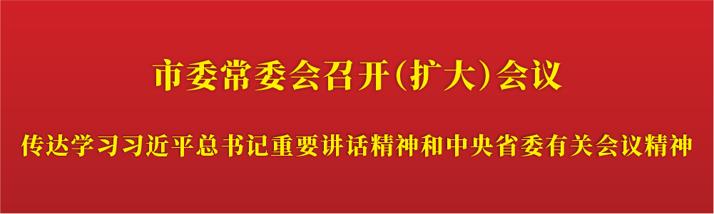 书记稿标题.png