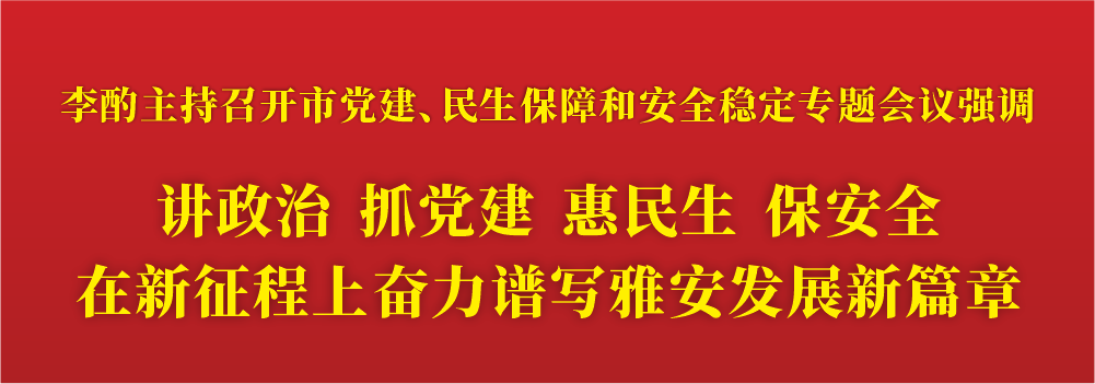 讲政治  抓党建  惠民生  保安全.png