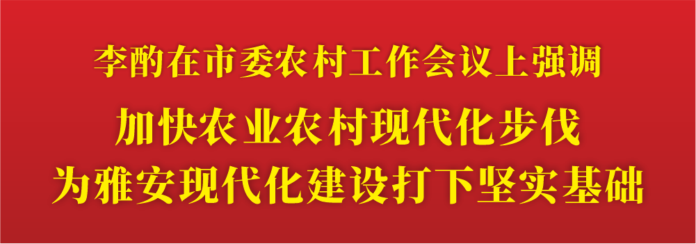 加快农业农村现代化步伐.png