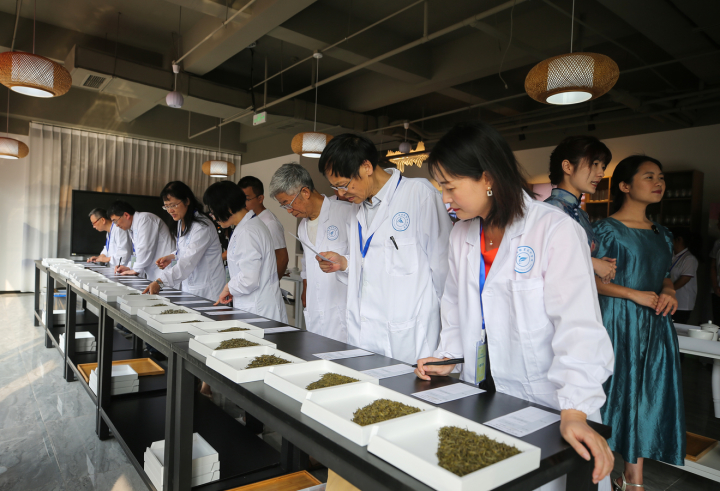 蒙顶山杯第七届中国黄茶斗茶大赛在雅安职业技术学院举办3.jpg