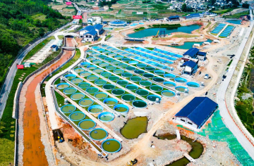 芦山县鱼跃龙门智慧水产养殖示范区项目进入收尾阶段