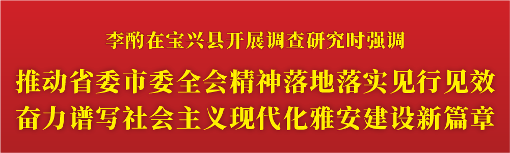 书记稿标题.png