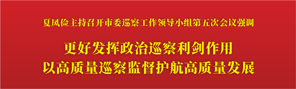 更好发挥政治巡察利剑作用.png